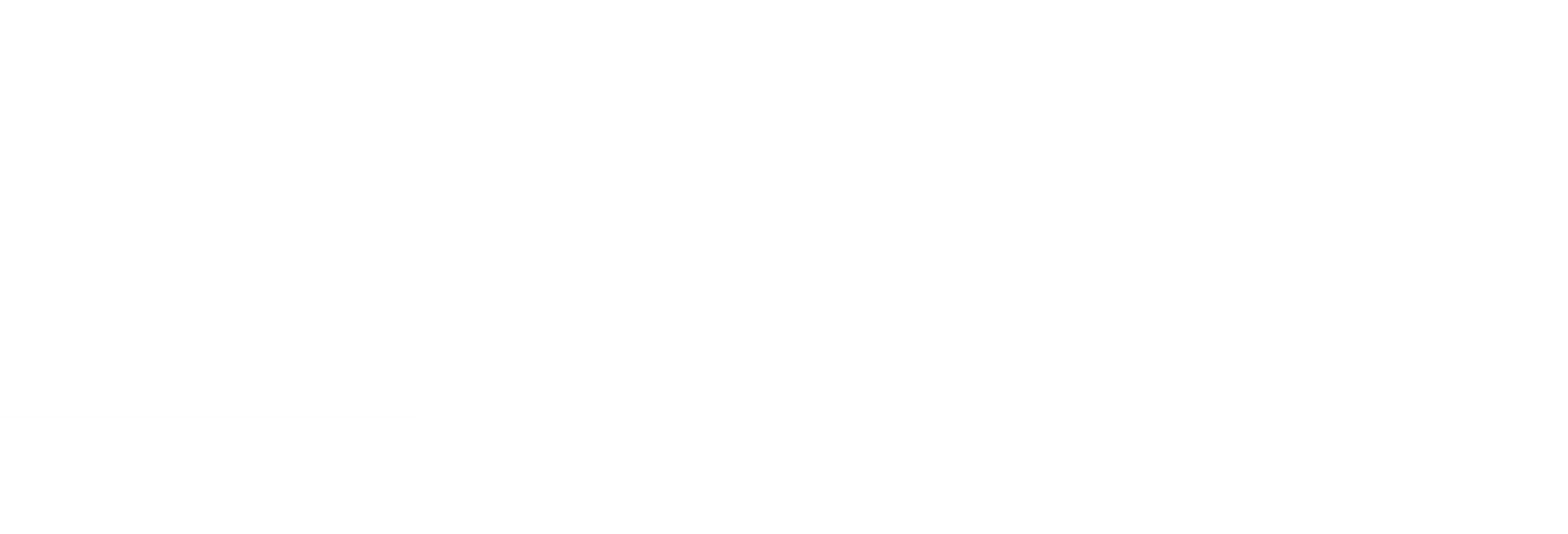 Cgs Logo White